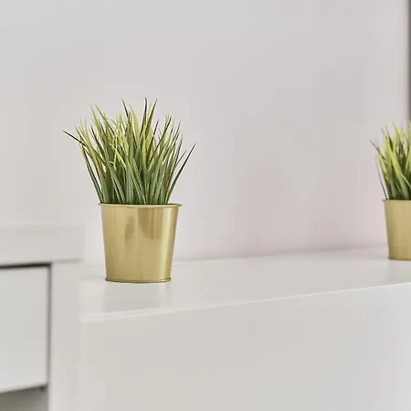 Modern Kosciuszki With Free Garage By Renters Apartamento