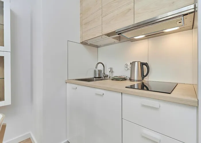 Modern Kosciuszki With Free Garage By Renters *